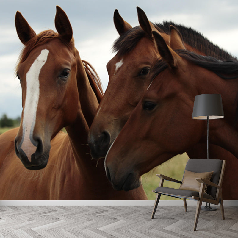 Modern Horse Mural Wallpaper Moisture Resistant Living Room Wall Covering