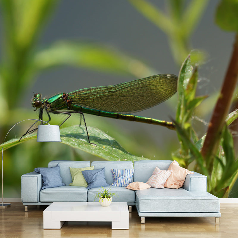 Customized Photography Dragonfly Mural Stain Resistant Wall Art for Dining Room