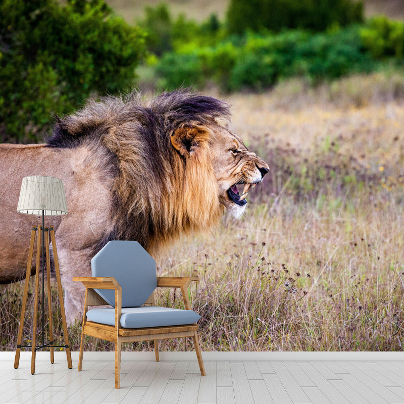 Modern Lion Mural Wallpaper Moisture Resistant Living Room Wall Covering