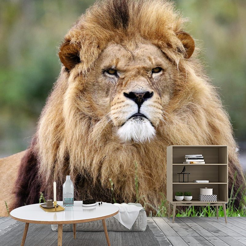 Modern Lion Mural Wallpaper Moisture Resistant Living Room Wall Covering