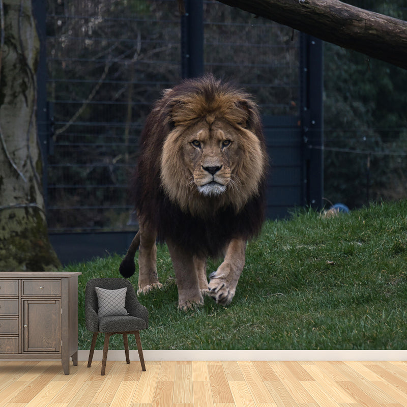 Modern Lion Mural Wallpaper Moisture Resistant Living Room Wall Covering