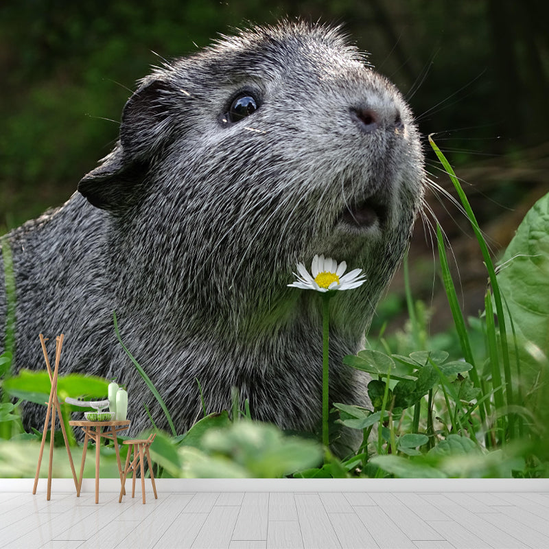 Customized Photography Guinea Pig Mural Stain Resistant Wall Art for Dining Room