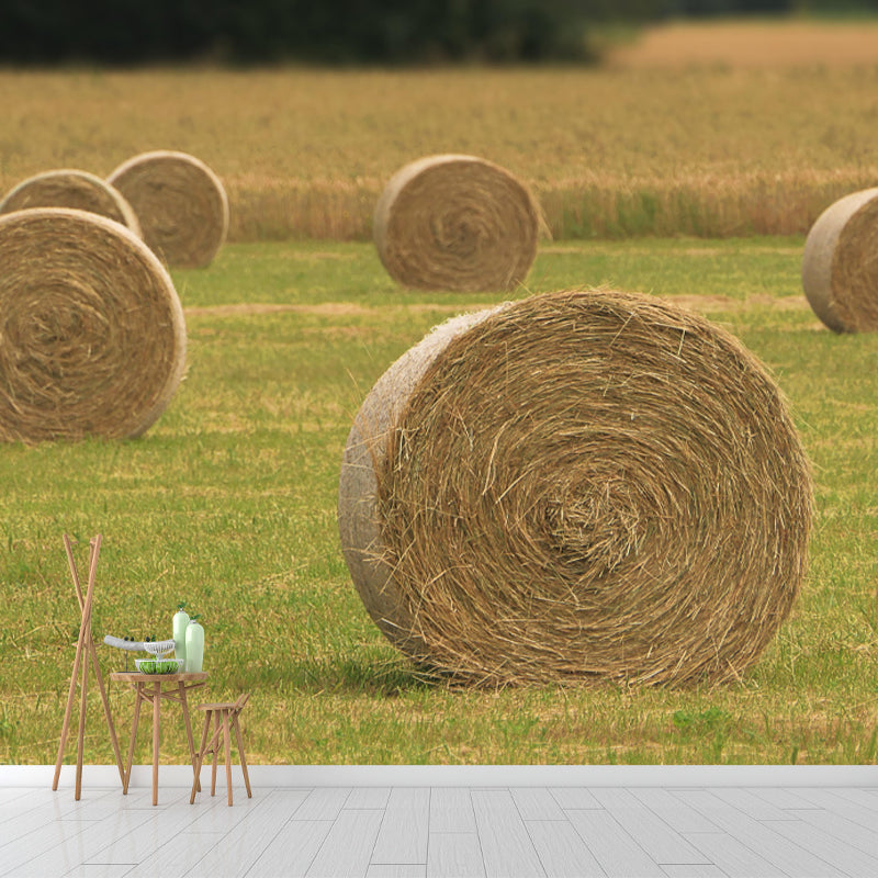 Straw Bale Mural Wallpaper Modern Style Moisture Resistant Living Room Wall Covering