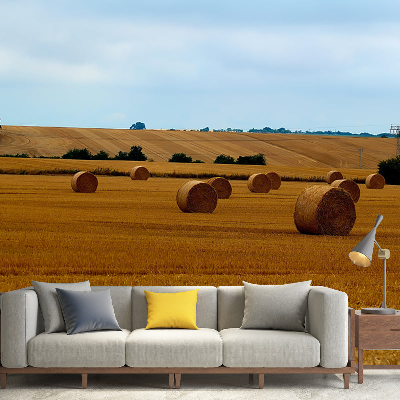 Customized Straw Bale Mural Photography Horizontal for Sleeping Room Bedroom