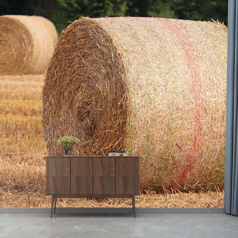 Customized Straw Bale Mural Photography Horizontal for Sleeping Room Bedroom