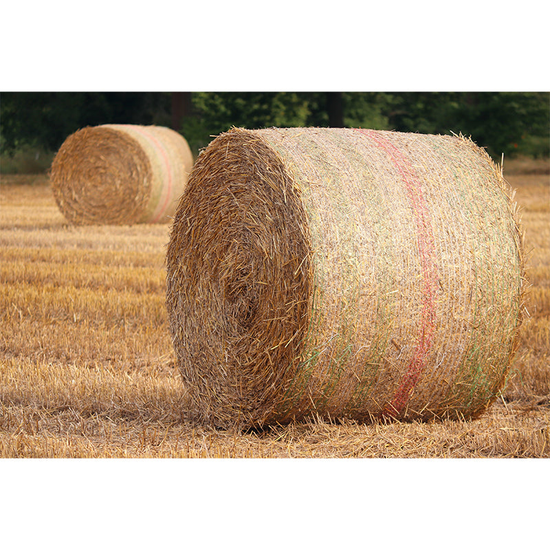 Customized Straw Bale Mural Photography Horizontal for Sleeping Room Bedroom