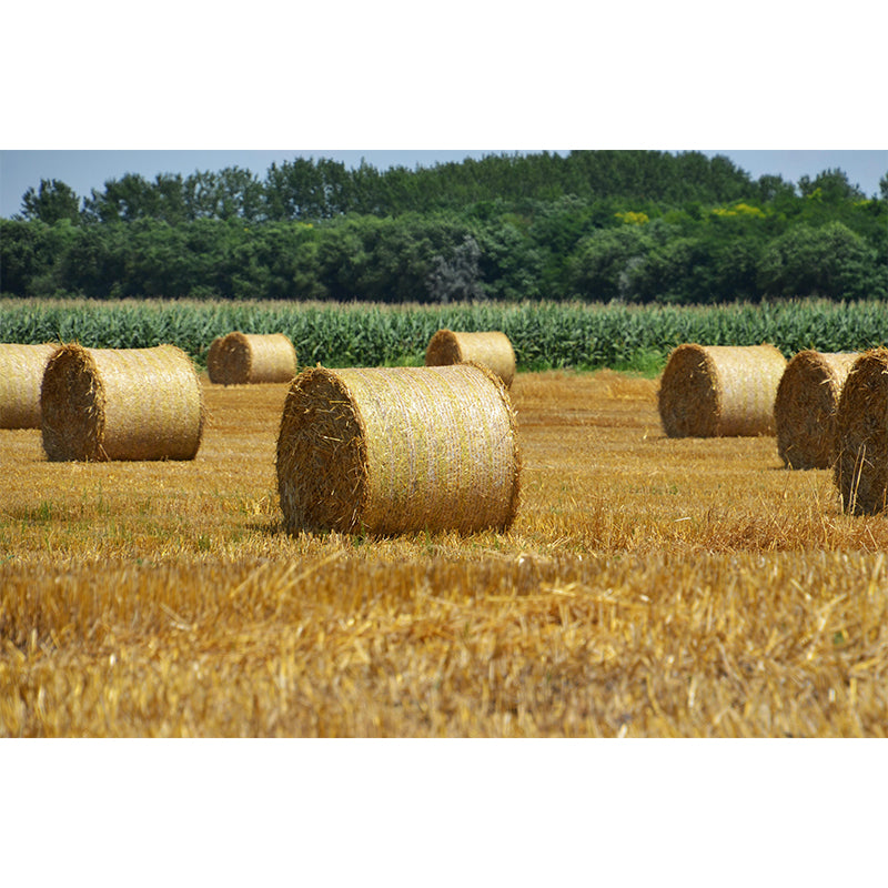 Customized Straw Bale Wall Mural Covering Mildew Resistant for Living Room