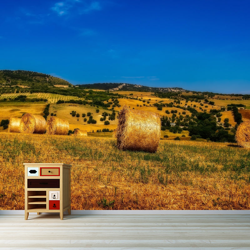 Contemporary Straw Bale Mural Wallpaper Moisture Resistant Living Room Wall Covering