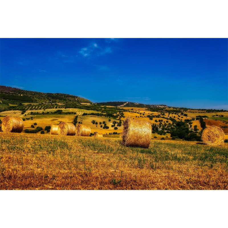 Contemporary Straw Bale Mural Wallpaper Moisture Resistant Living Room Wall Covering