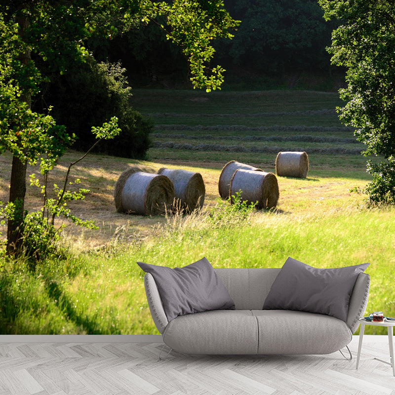 Customized Straw Bale Mural Environment Friendly for Sleeping Room Bedroom