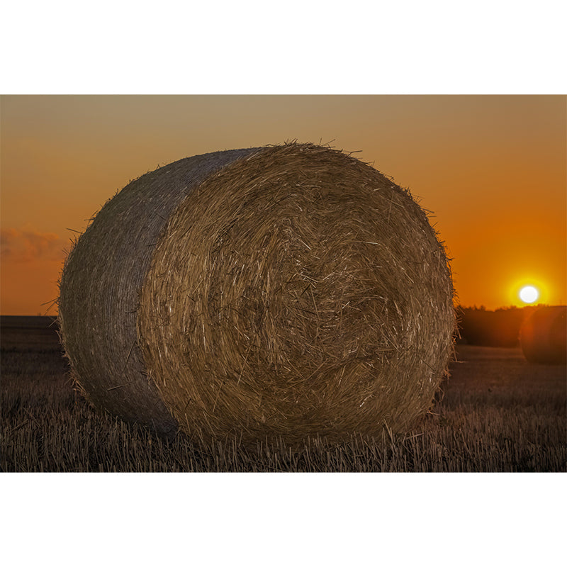 Customized Straw Bale Mural Stain Resistant Wall Covering for Dining Room