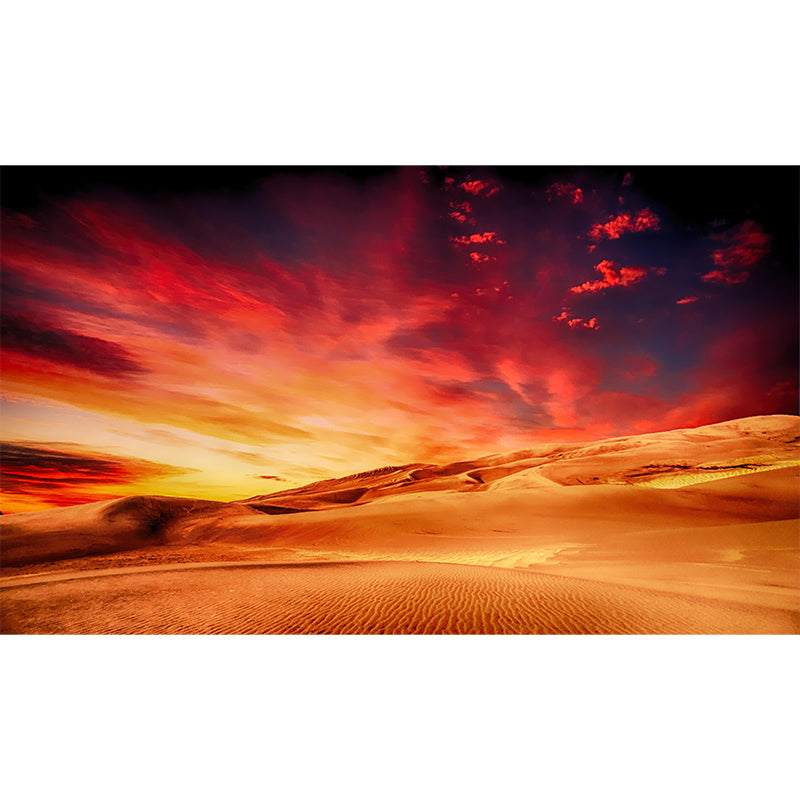 Photography Desert Landscapes Mural Mildew Resistant Wallpaper for Reading Room