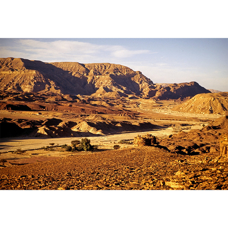 Contemporary Desert Mural Wallpaper Home Decorations for Kitchen Living Room