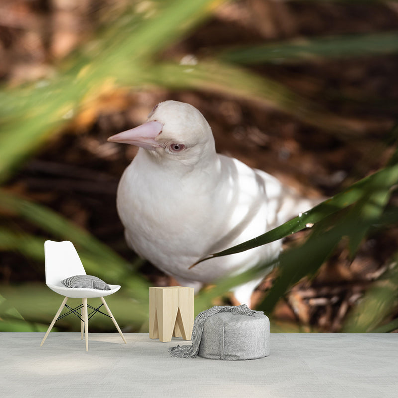 Modern Magpie Mural Wallpaper Moisture Resistant Living Room Wall Covering