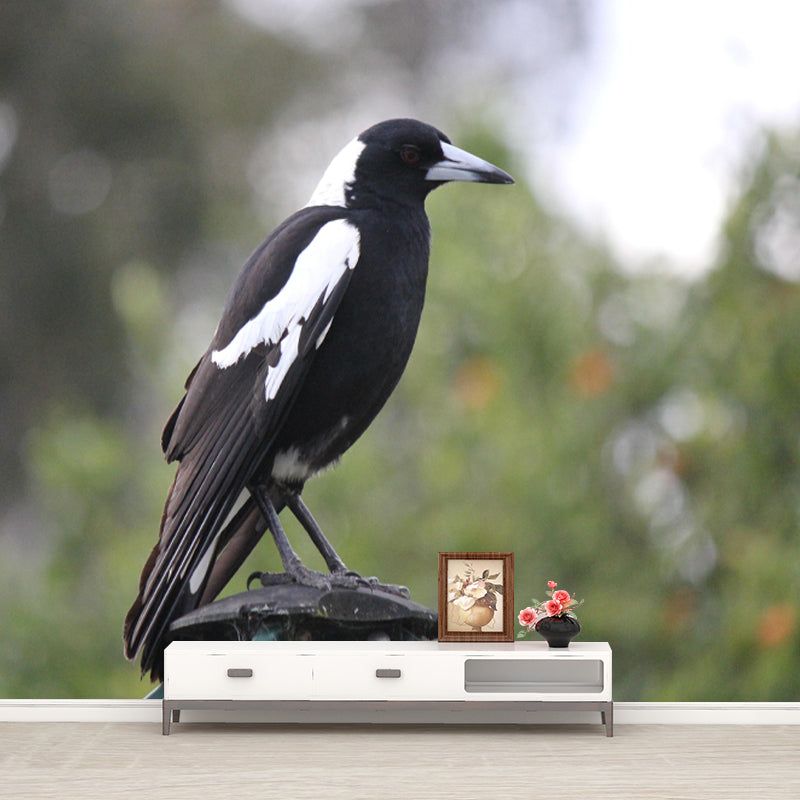 Modern Magpie Mural Wallpaper Moisture Resistant Living Room Wall Covering