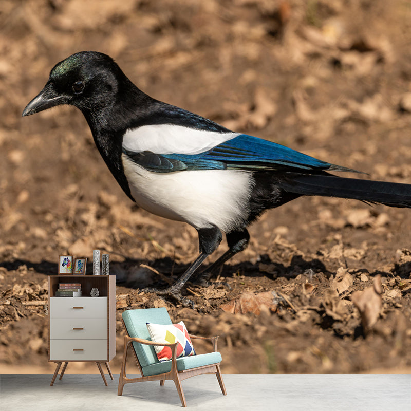 Modern Magpie Mural Wallpaper Moisture Resistant Living Room Wall Covering