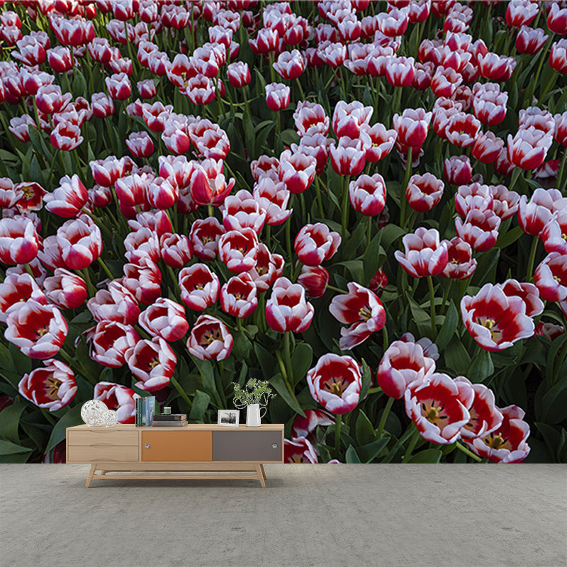 Beautiful Sea of Flowers Mural Wallpaper for Living Room Decor, Water Resistant