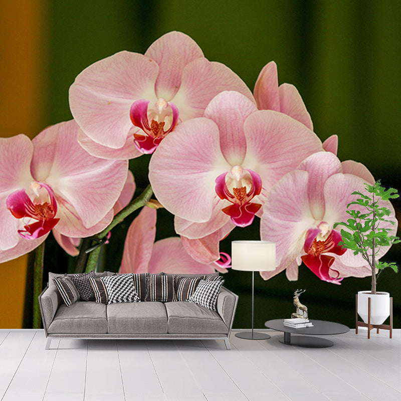 Orchid Flower Mural Wallpaper Colorful Mildew Resistant Wallpaper, Custom Size Available