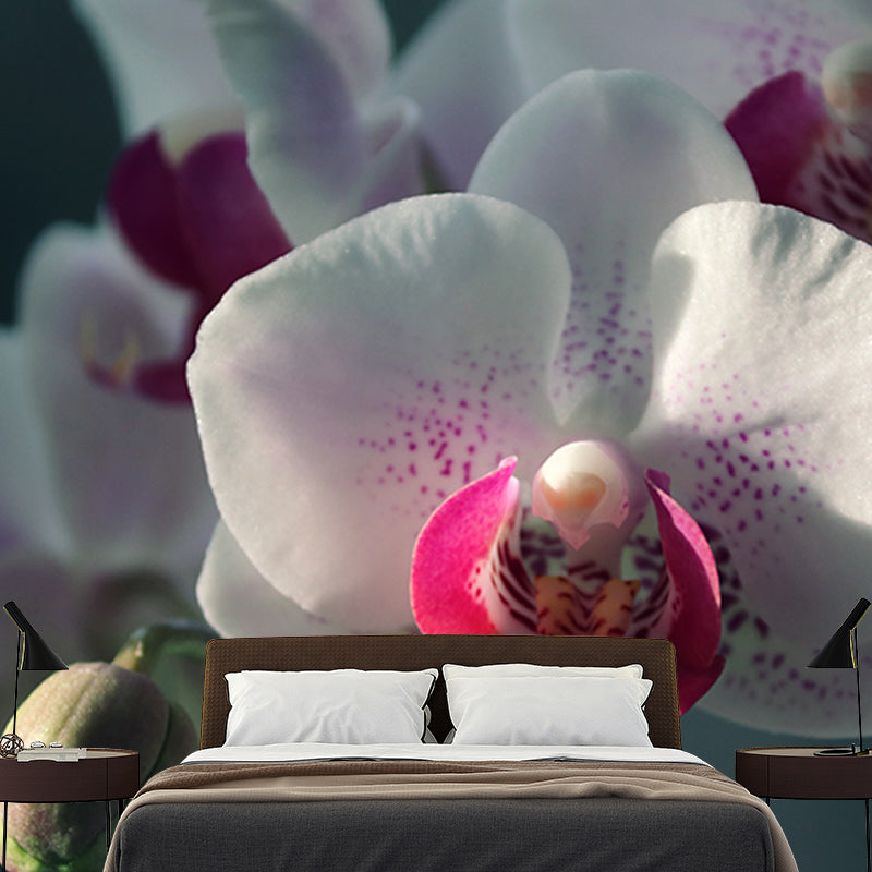 Orchid Flower Mural Wallpaper Colorful Mildew Resistant Wallpaper, Custom Size Available