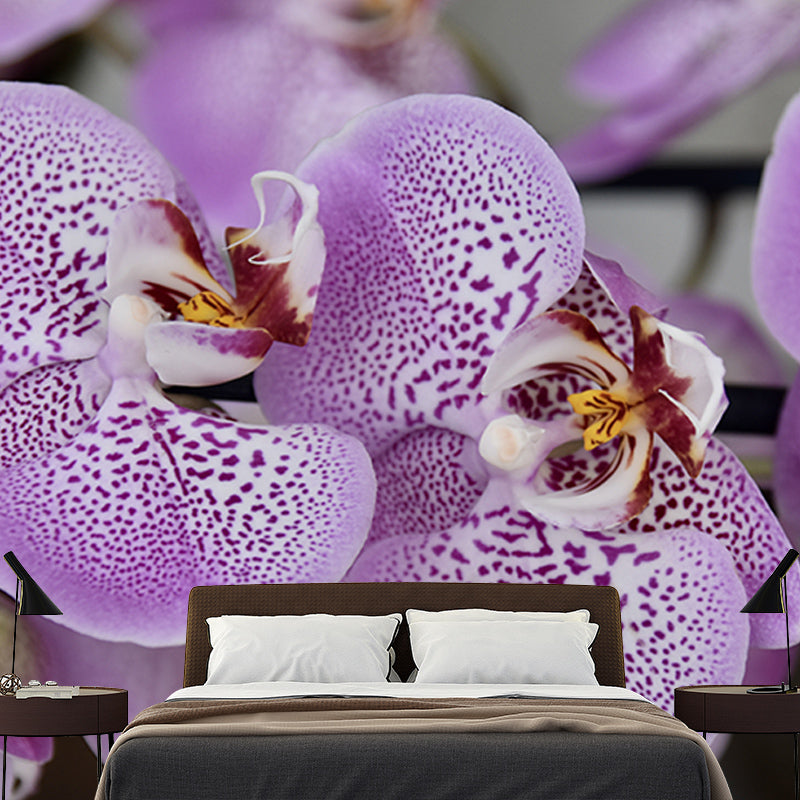 Orchid Flower Wall Covering for Living Room Waterproofing Mural Wallpaper Decorative