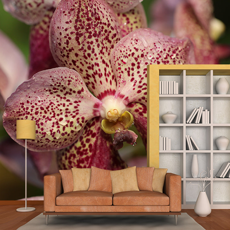 Orchid Flower Wall Covering for Living Room Waterproofing Mural Wallpaper Decorative