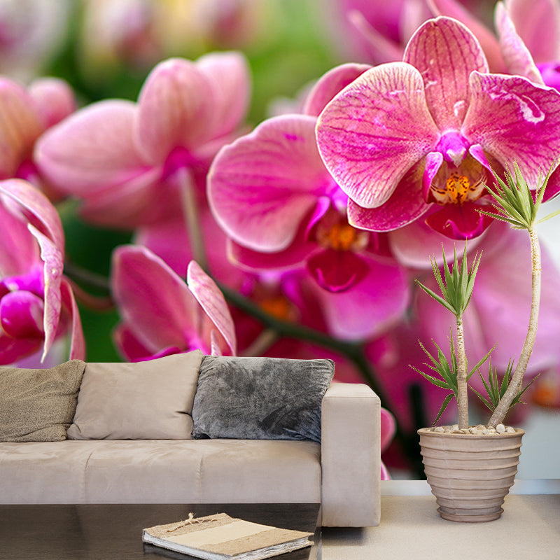 Orchid Flower Wall Covering for Living Room Waterproofing Mural Wallpaper Decorative