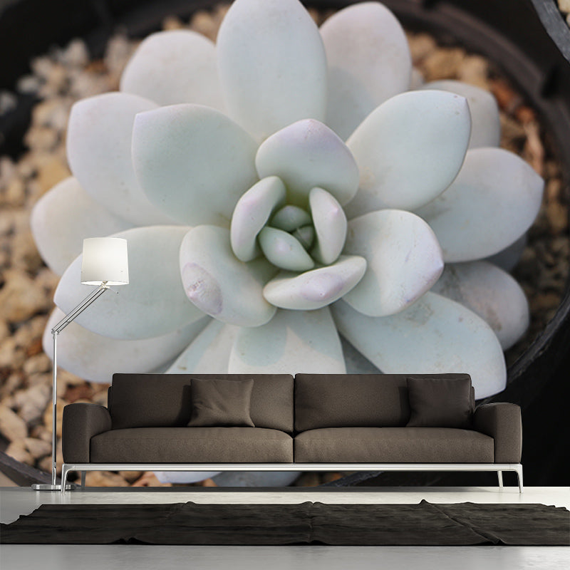 Tropical Plants Mural Decal Customized Modern Wall Covering for House Interior