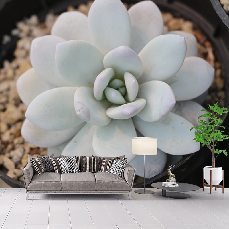 Tropical Plants Mural Decal Customized Modern Wall Covering for House Interior