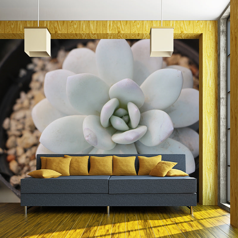 Tropical Plants Mural Decal Customized Modern Wall Covering for House Interior