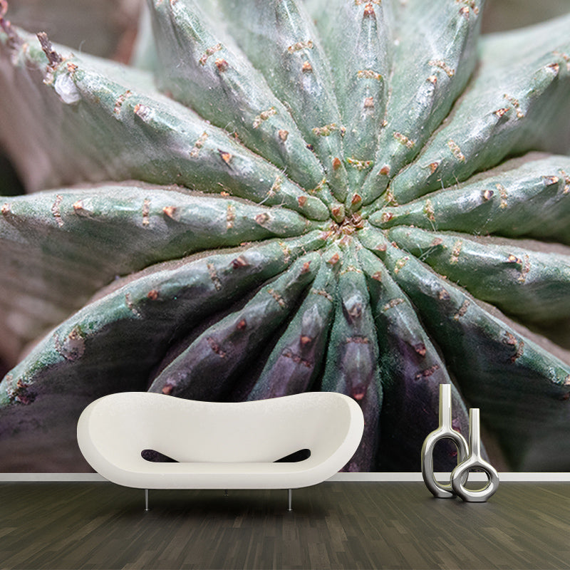 Tropical Plants Mural Decal Customized Modern Wall Covering for House Interior