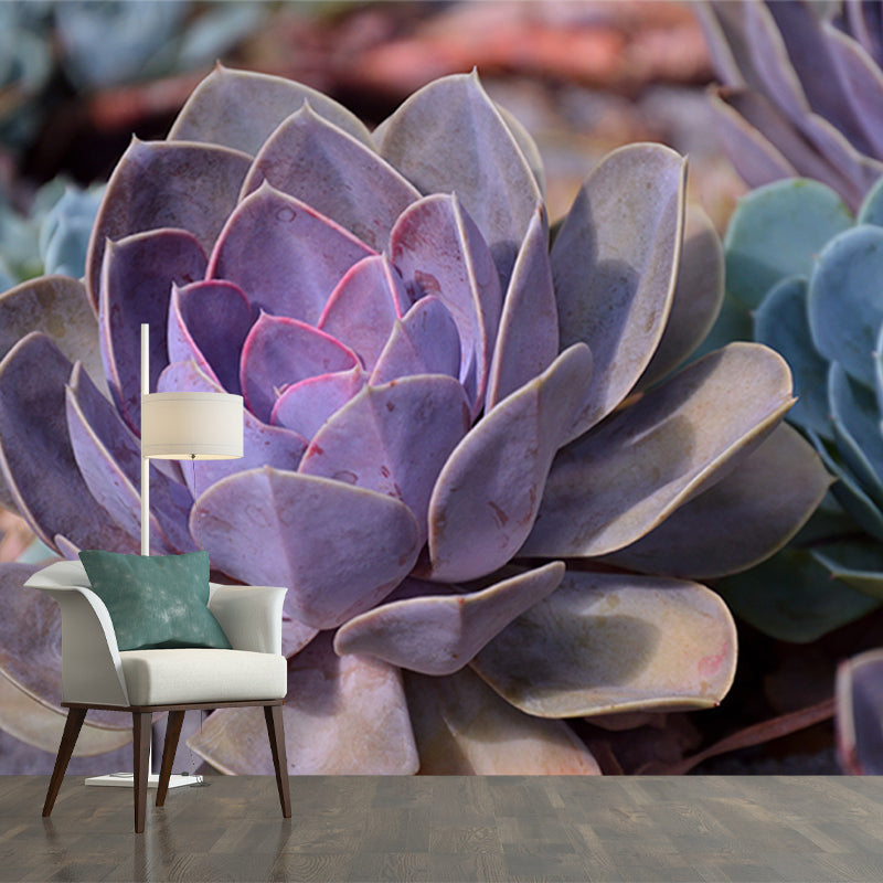 Contemporary Sitting Room Mural Wallpaper Tropical Plants Wall Decor, Moisture Resistant