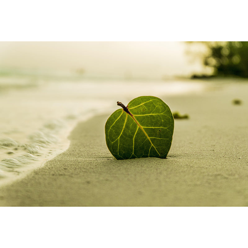 Customized Beach Mural Wallpaper Mildew Resistant for Living Room Decor