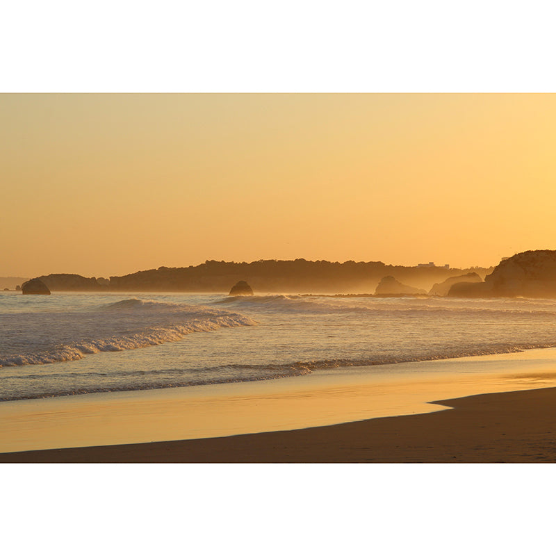 Customized Coastal Mural Wallpaper Mildew Resistant for Living Room Decor