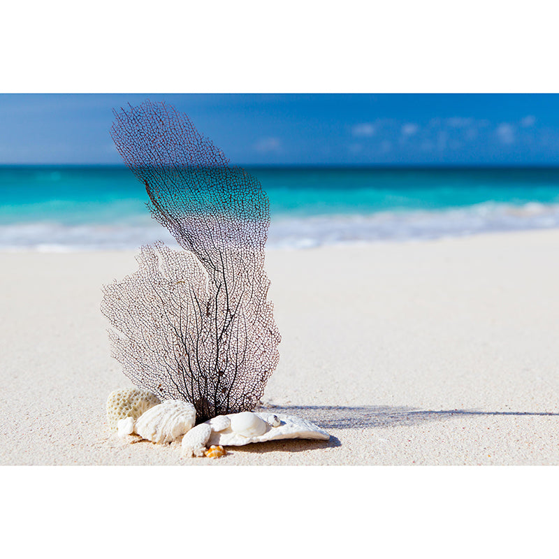 Coastal Mural Wall Covering for Bathroom Decorative Eco-friendly Wallpaper