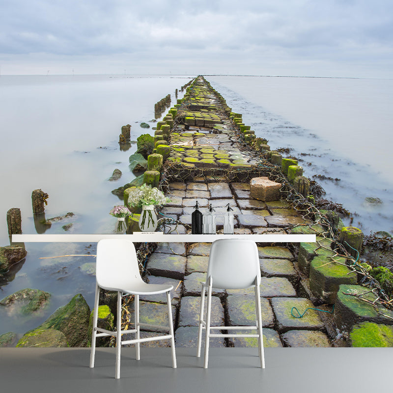 Modern Style Coastal Mural Wallpaper Mildew Resistant for Living Room Decor