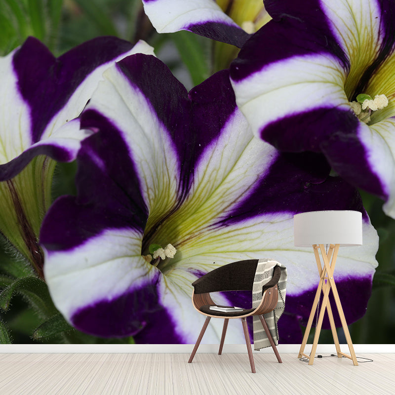 Beautiful Petunia Mural Wallpaper Mildew Resistant for Living Room Decor