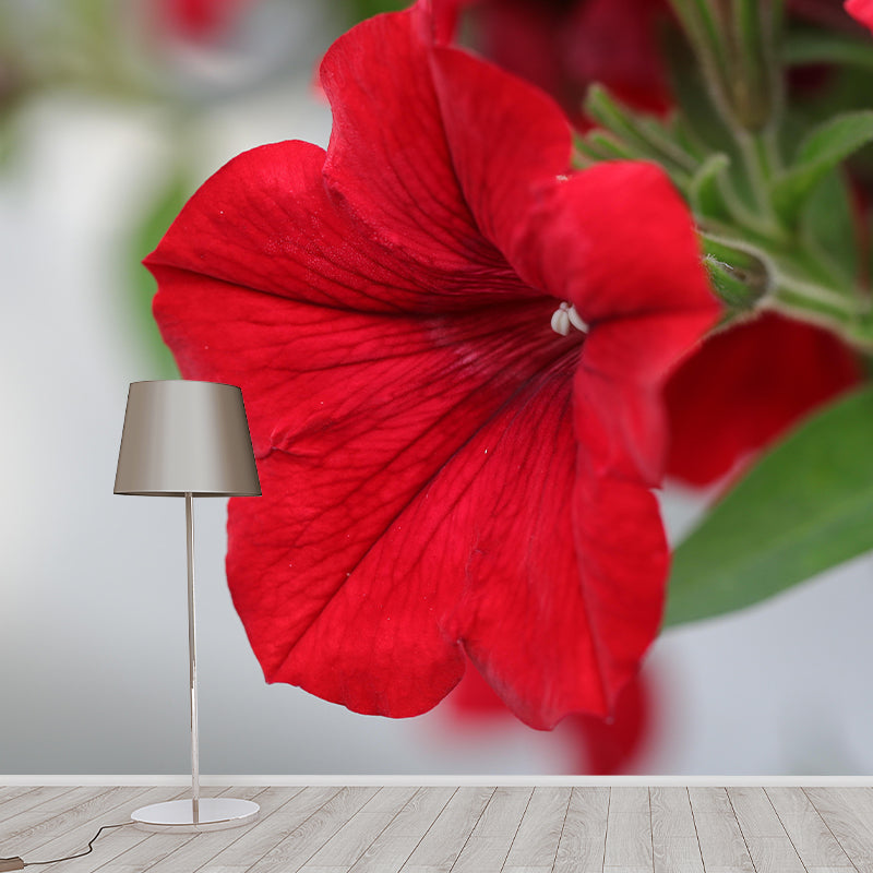 Beautiful Petunia Mural Wallpaper Mildew Resistant for Living Room Decor