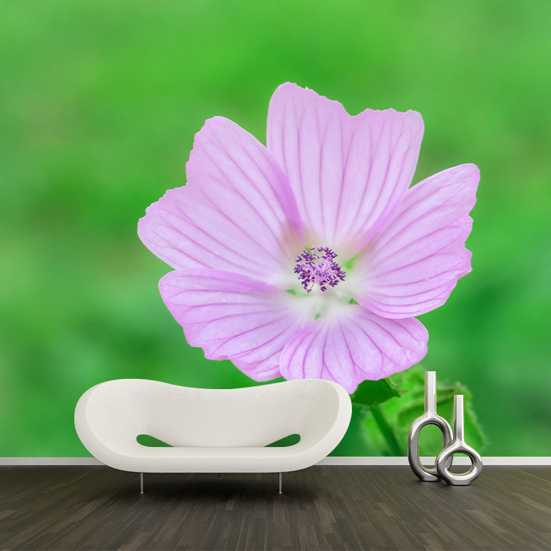 Mallow Mural Wall Covering for Living Room Decorative Mildew Resistant Wallpaper