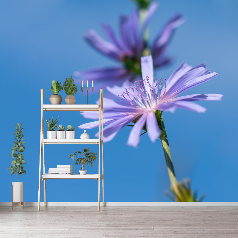 Chicory Mural Wall Covering for Living Room Decorative Mildew Resistant Wallpaper