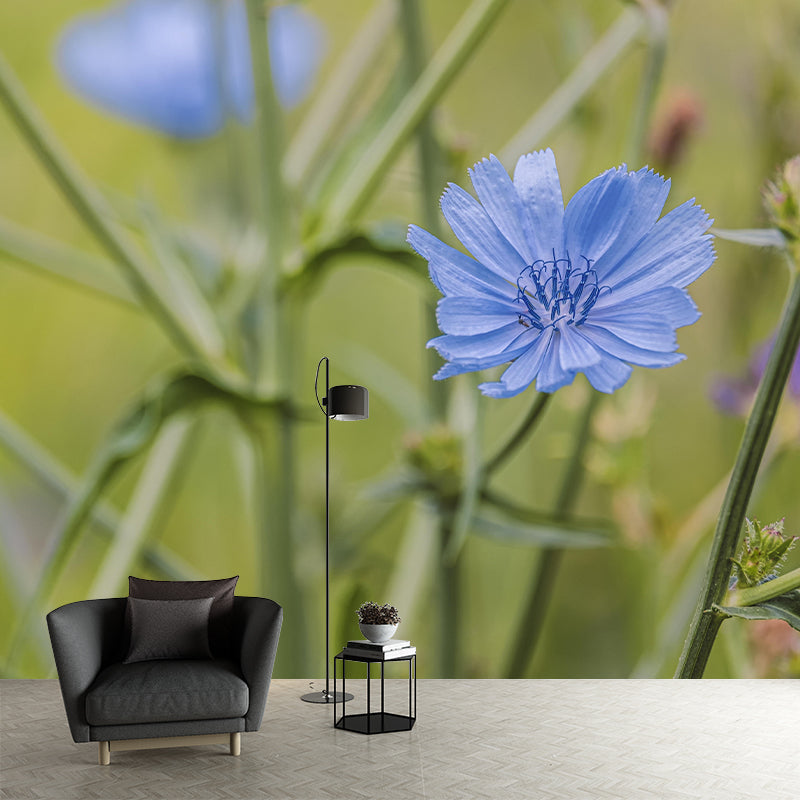 Chicory Mural Wall Covering for Living Room Decorative Mildew Resistant Wallpaper