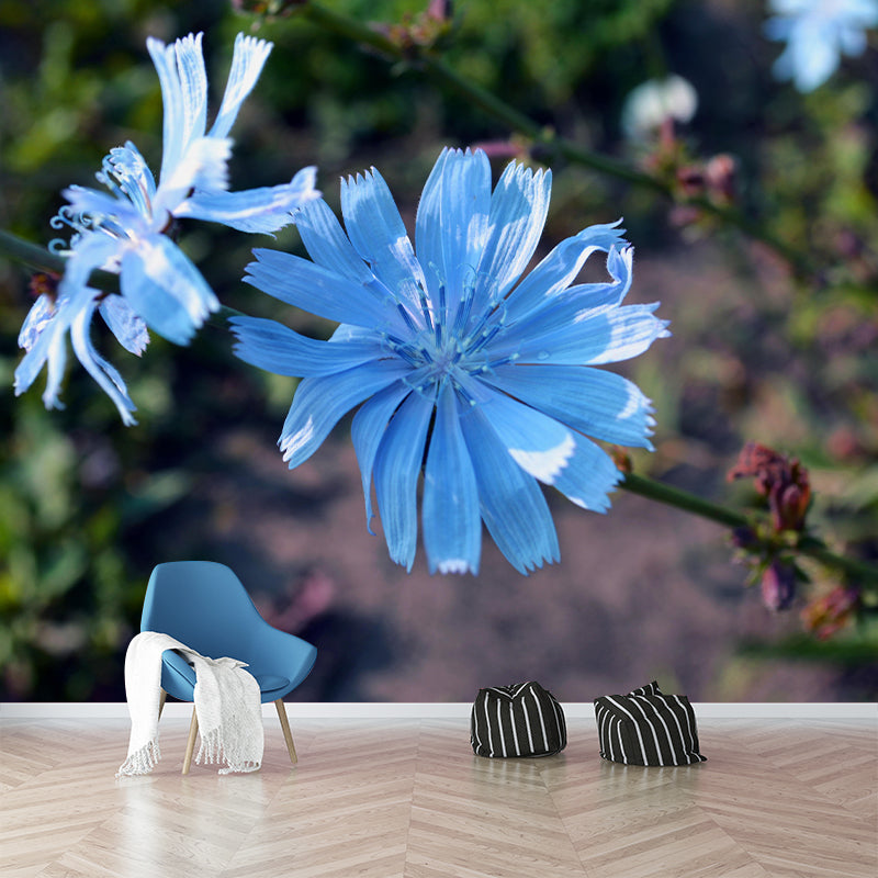 Chicory Mural Wall Covering for Living Room Decorative Mildew Resistant Wallpaper