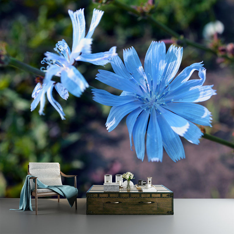 Chicory Mural Wall Covering for Living Room Decorative Mildew Resistant Wallpaper