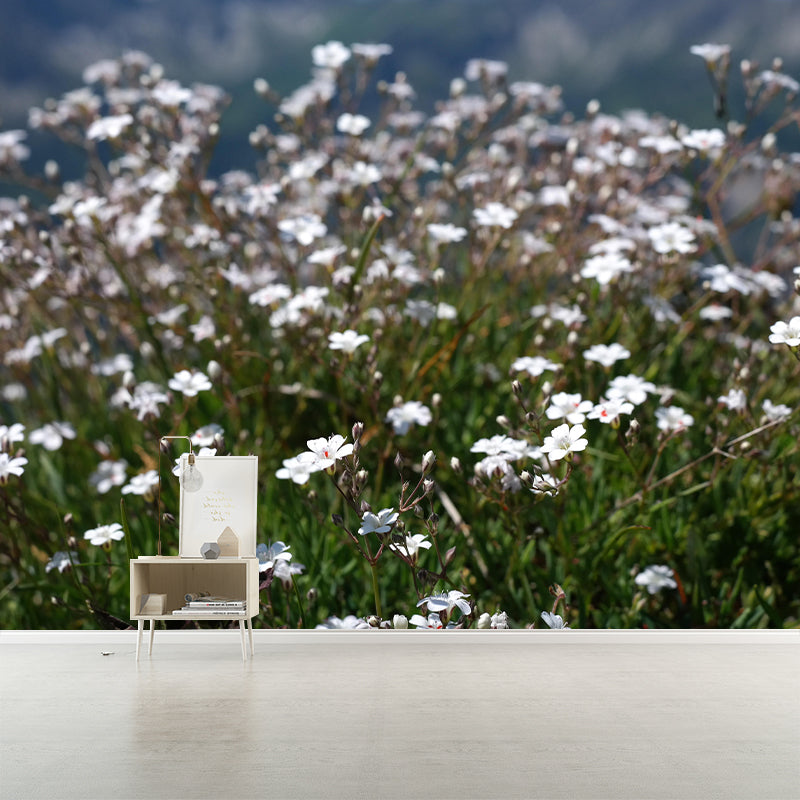 Gypsophila Mural Wall Covering for Living Room Decorative Mildew Resistant Wallpaper