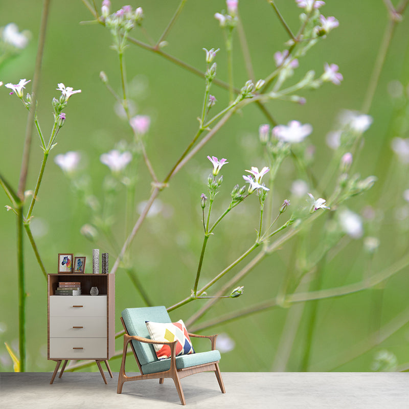 Gypsophila Mural Wall Covering for Living Room Decorative Mildew Resistant Wallpaper