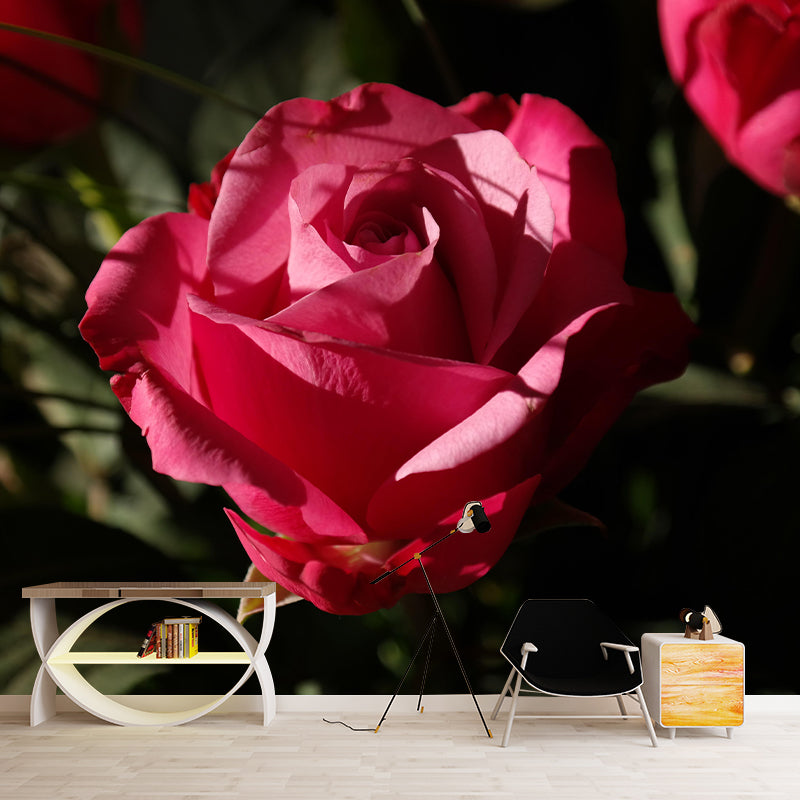 Beautiful Rose Mural Wallpaper Mildew Resistant for Living Room Bedroom Decor