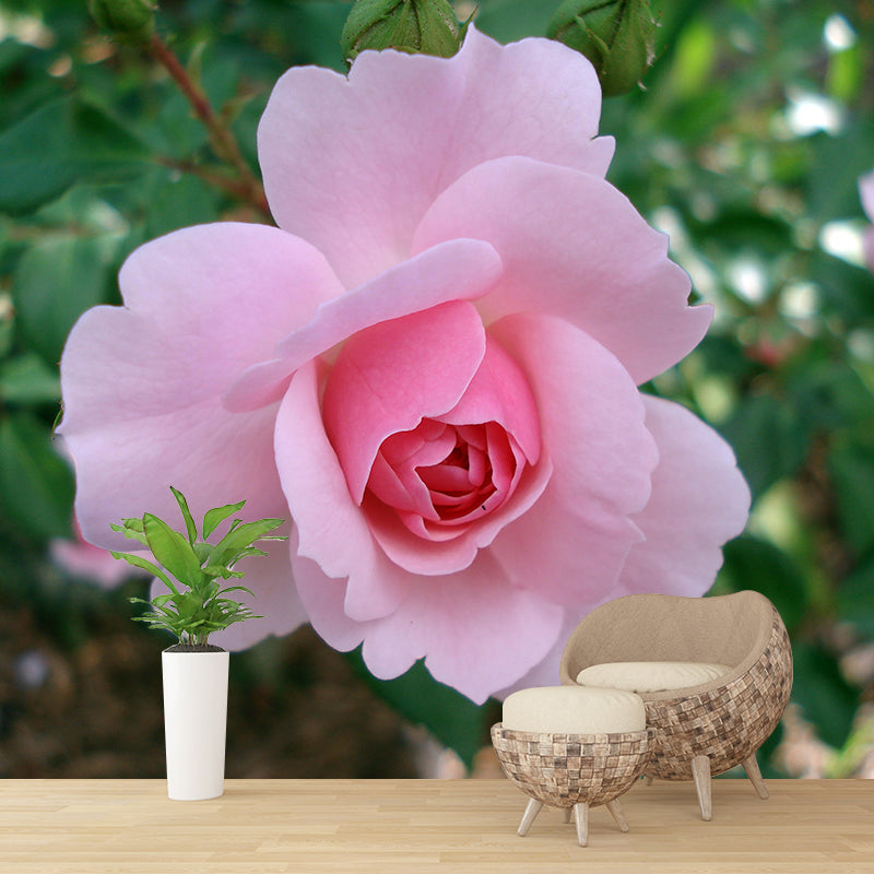 Beautiful Rose Mural Wallpaper Mildew Resistant for Living Room Bedroom Decor