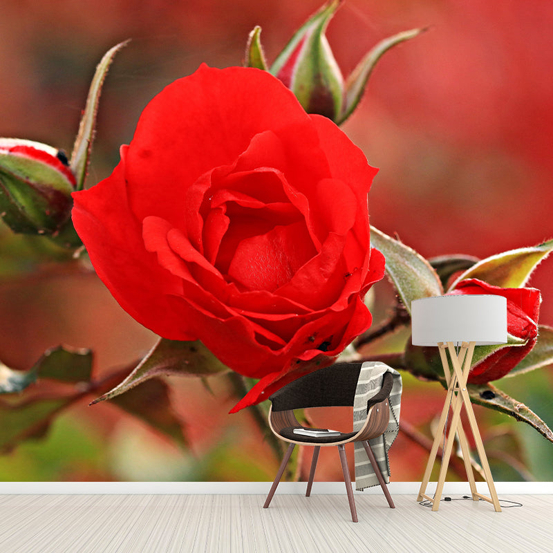 Beautiful Rose Mural Wallpaper Mildew Resistant for Living Room Bedroom Decor