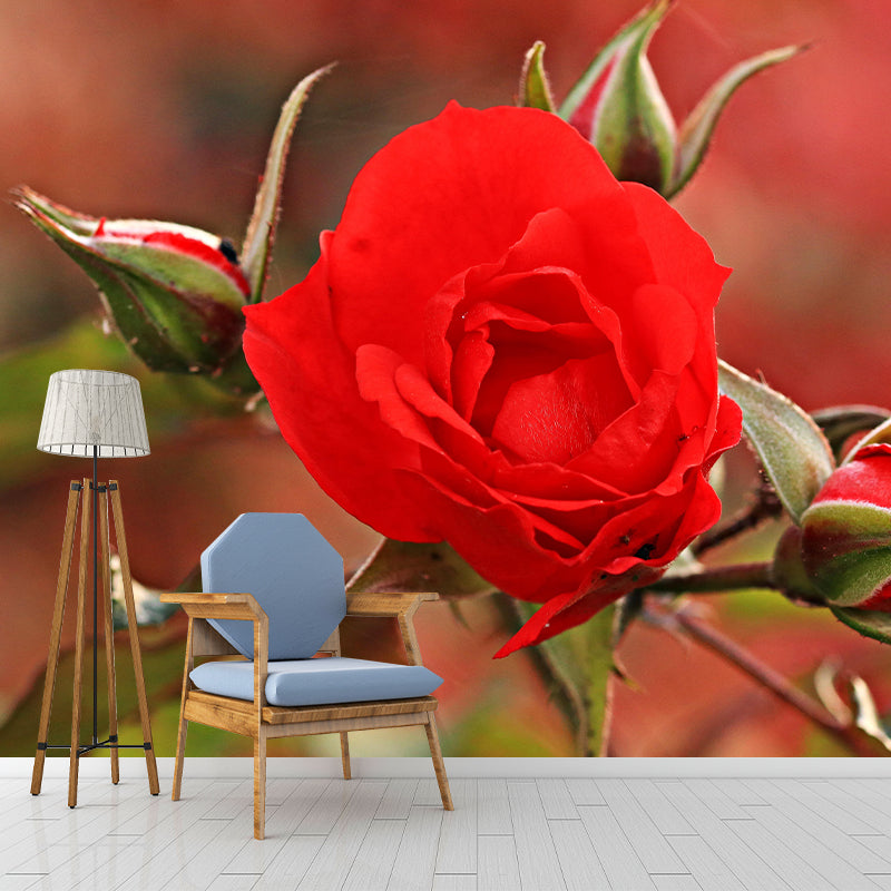 Beautiful Rose Mural Wallpaper Mildew Resistant for Living Room Bedroom Decor