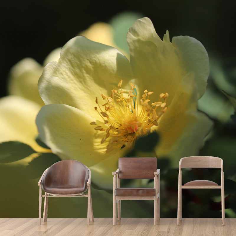 Rose Bush Mural Wall Covering for Living Room Decorative Mildew Resistant Wallpaper