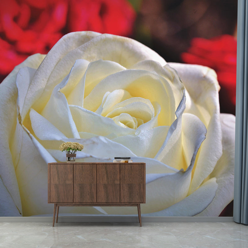 Rose Mural Wall Covering Close-Up Photography Decorative Mildew Resistant Wallpaper